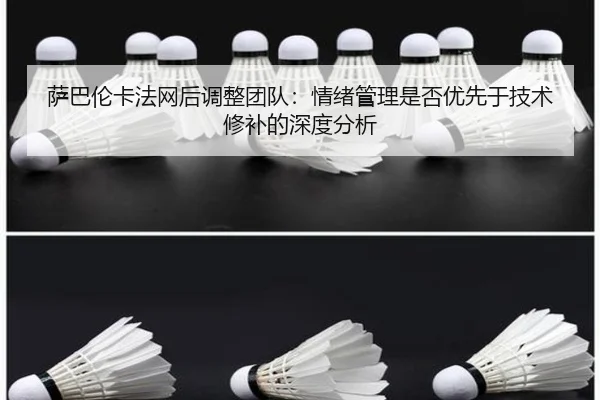 sa-ba-lun-ka-fa-wang-hou-tiao-zheng-tuan-dui-qing-xu-guan-li-shi-fou-you-xian-yu-ji-shu-xiu-bu-de-shen-du-fen-xi-2-812.jpg
